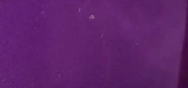 Jam Purple (Audi)