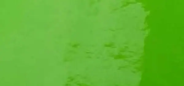 Viper Green Glossy (Audi)