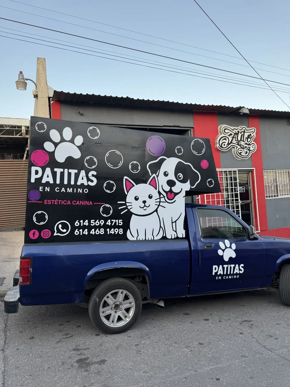 Pickup de Patitas en Camino con camper rotulado